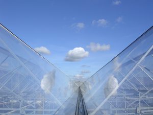 ETFE glazing on a greenhouse