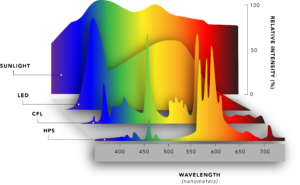 light comparison graph