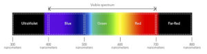 visible spectrum