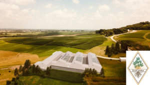 EcoCanna Header Image