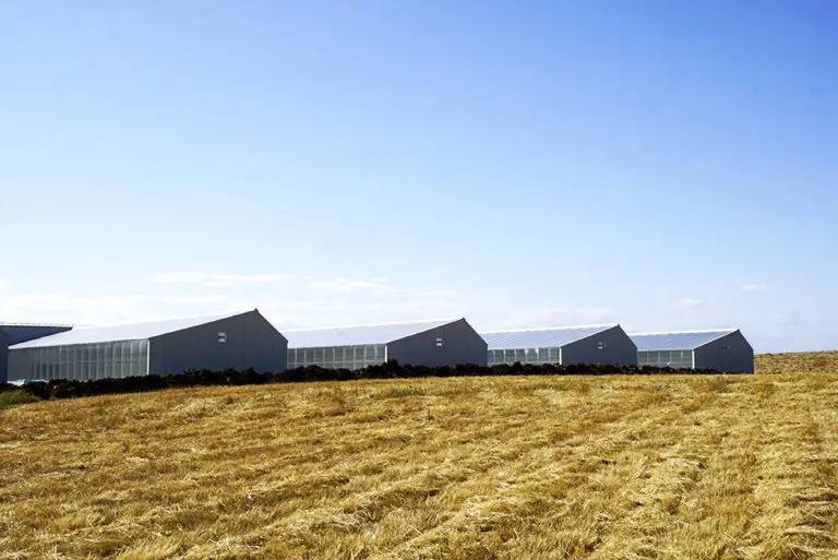 modular cannabis grow rooms- Oregon