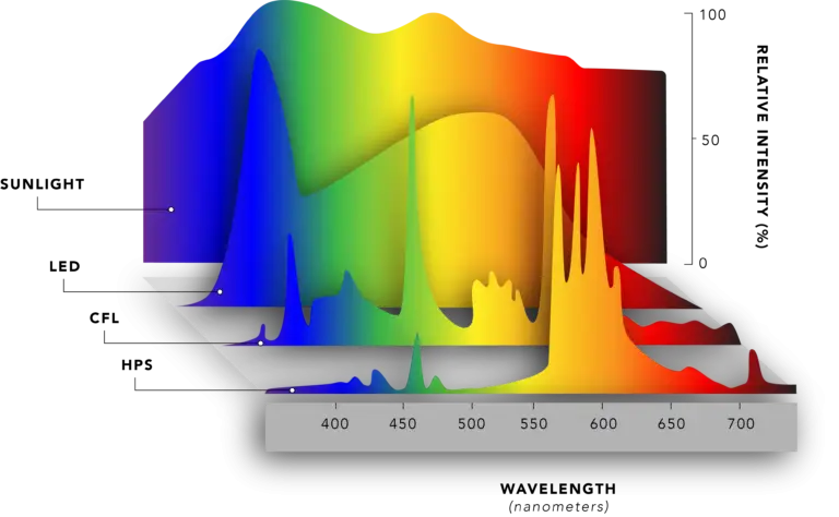 light comparison graph