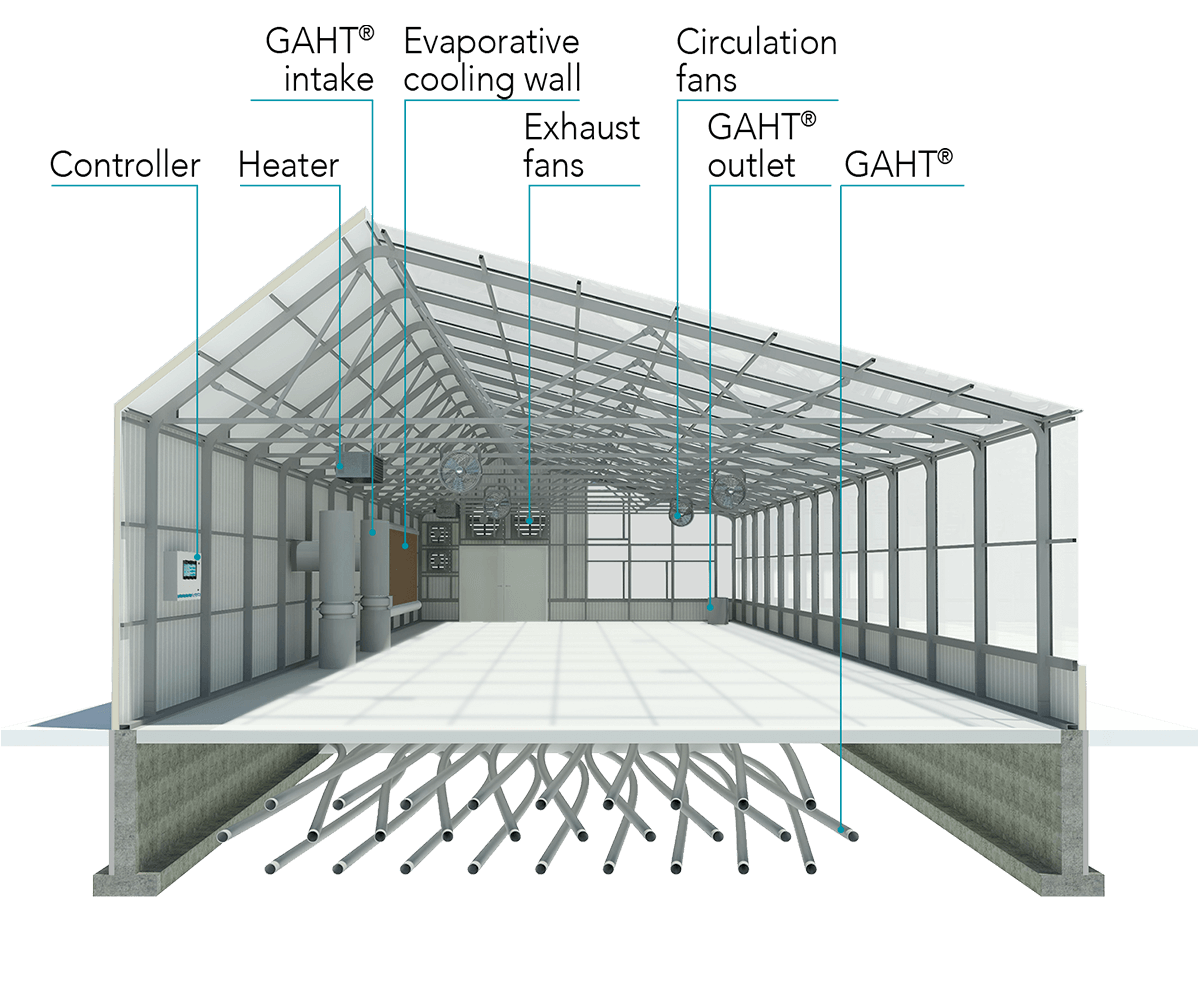 Vented Section of Greenhouse