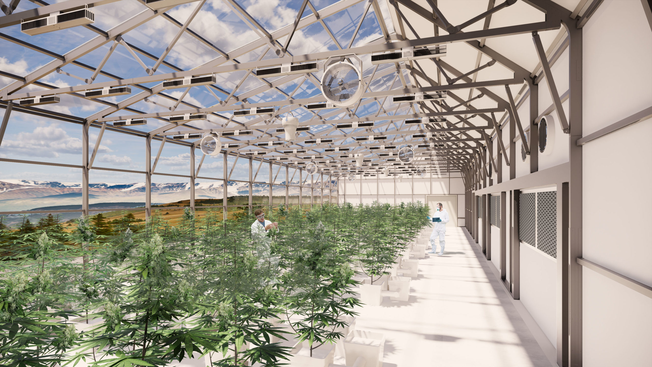 cannabis greenhouse data- sunchamber interior