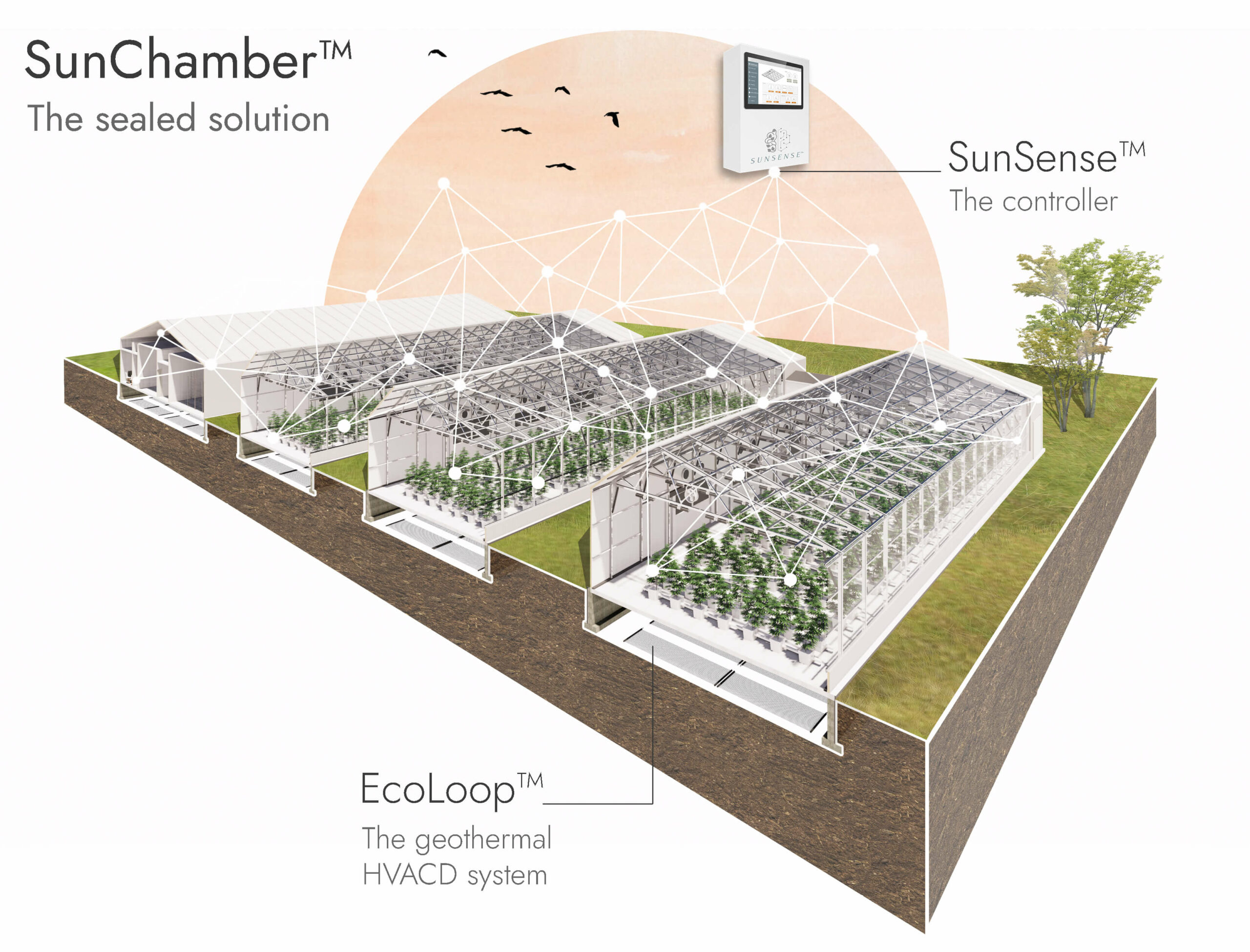 Smart greenhouse SunChamber by Ceres