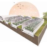 SunChamber- commercial grow facility design
