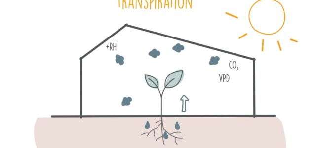 Greenhouse Dehumidification- transpiration