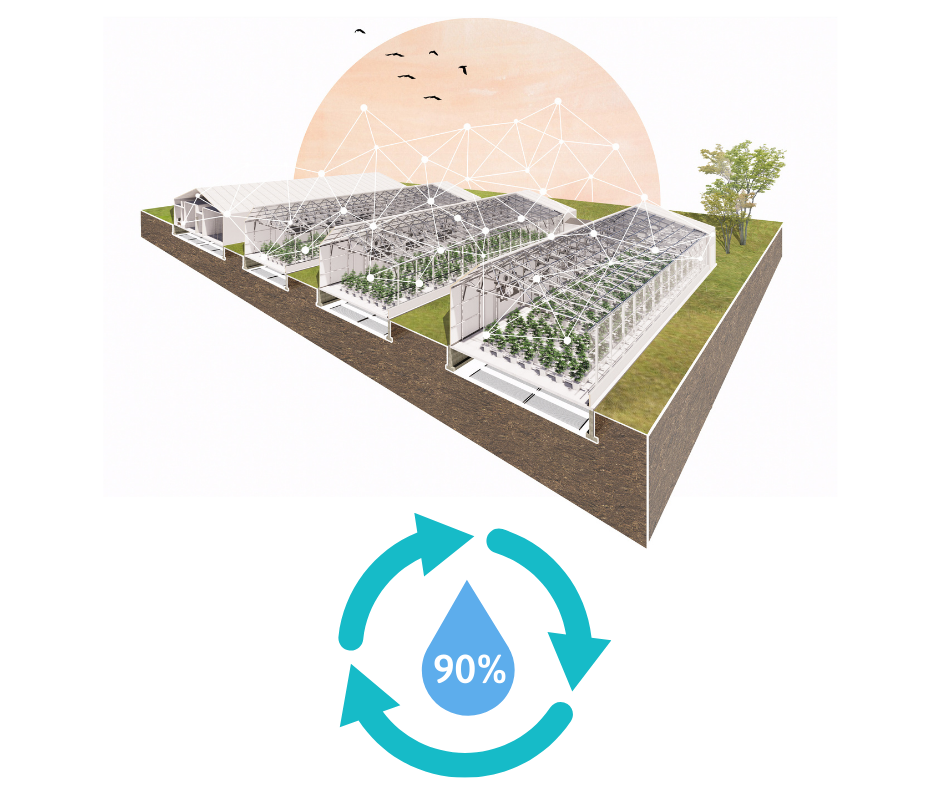water in greenhouses- water reclamation- 90 percent