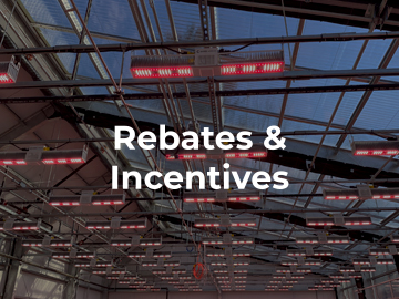 rebates and incentives