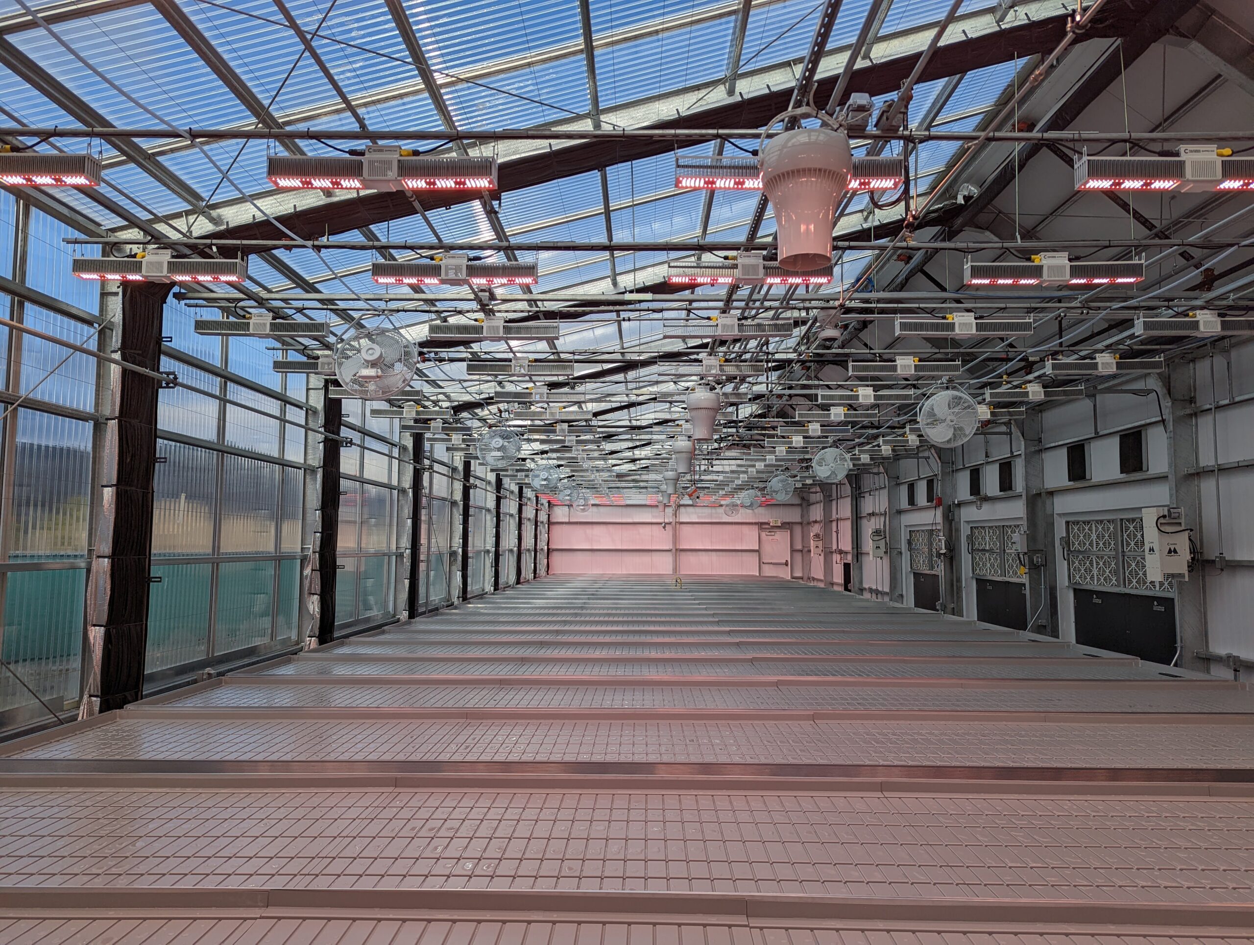 inside sealed greenhouse