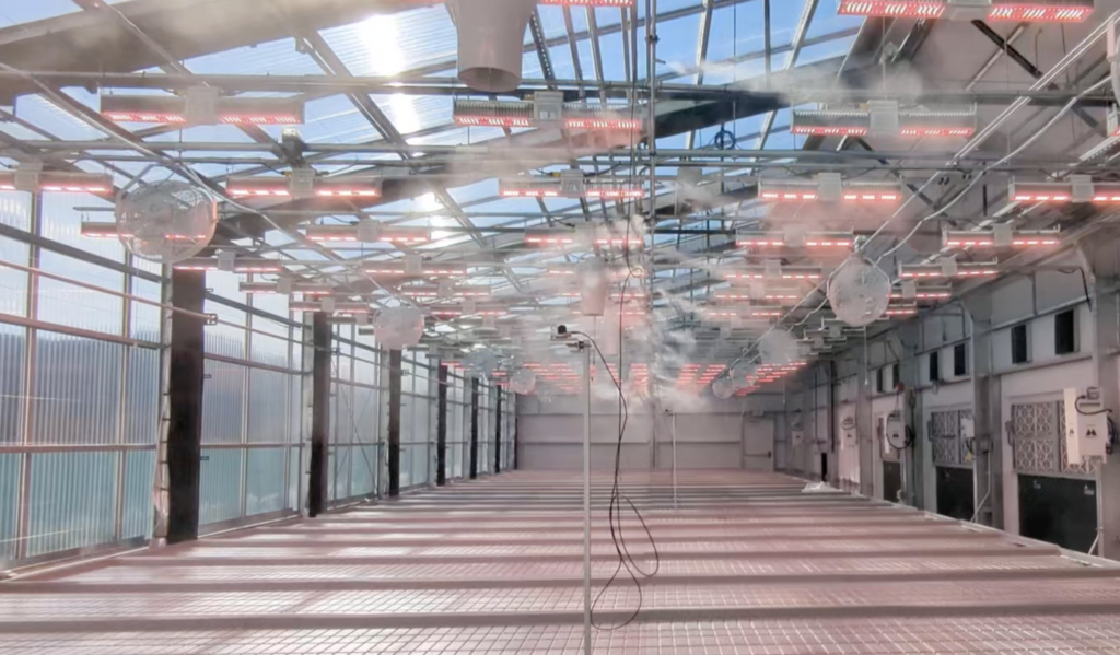 greenhouse hvac- fogging system