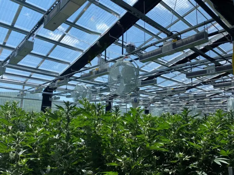 the sealed greenhouse advantage