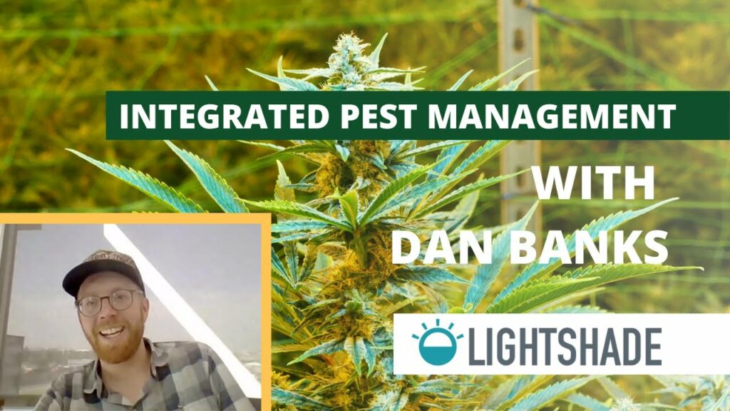 Importance of Holistic IPM for Cannabis Operations Interview with Dan Banks