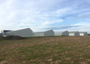 modular greenhouse- outside